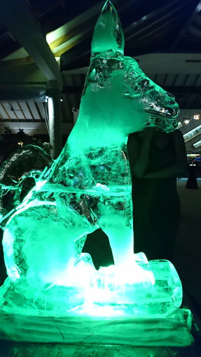 Thari Bar - Eisskulptur Hund NH Collection Maldives Havodda Resort