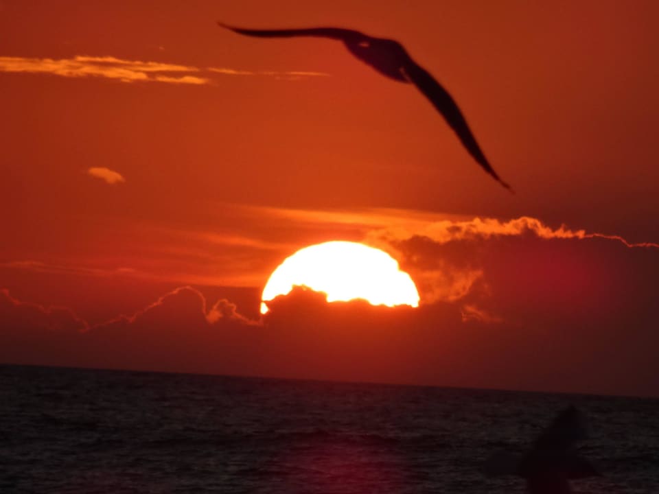 Meer =) Hotel Aquarius Spa