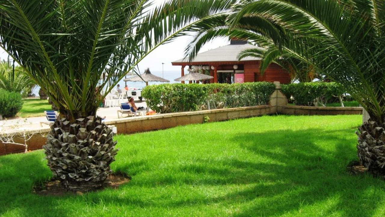 Gartenanlage Hotel Riu Palace Tenerife