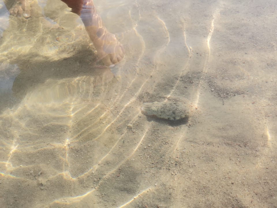 Strand Sentido Caribbean World Soma Bay