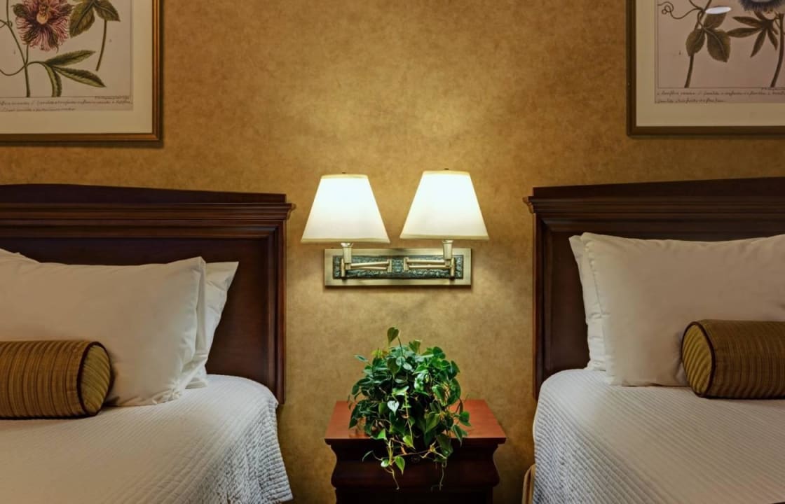 Guest Room Wellington Hotel