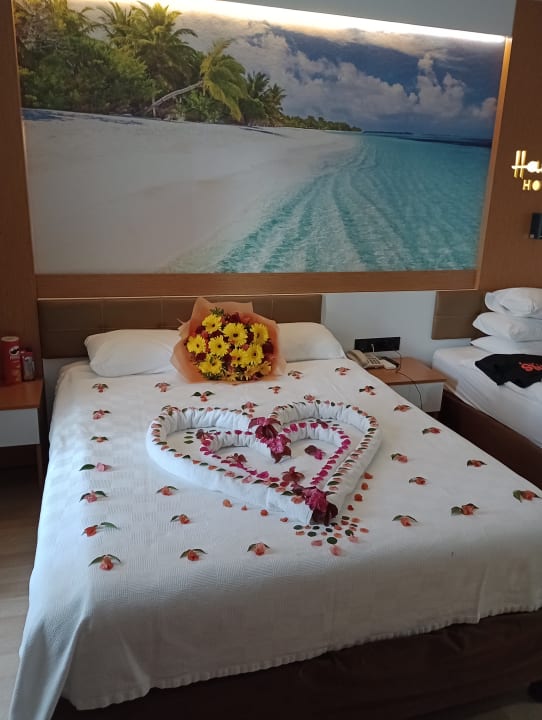 Zimmer Hane Family Resort