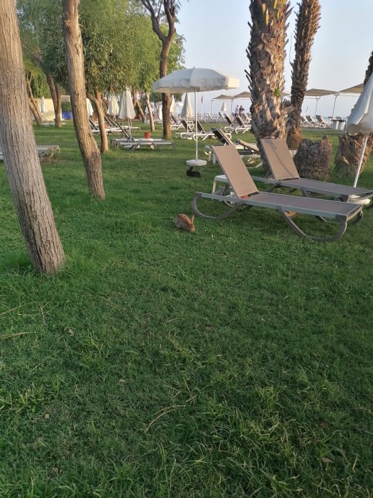 Gartenanlage Labranda Alantur Resort