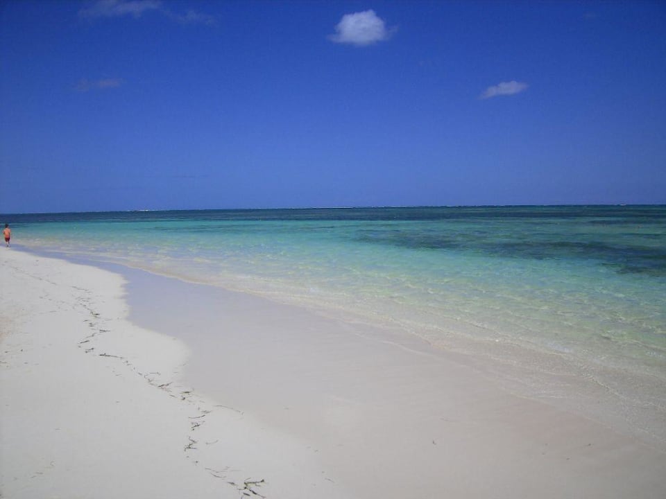 Traumstrand Catalonia Punta Cana - All Inclusive