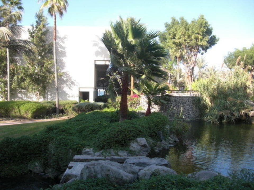 Gartenanlage JA Palm Tree Court