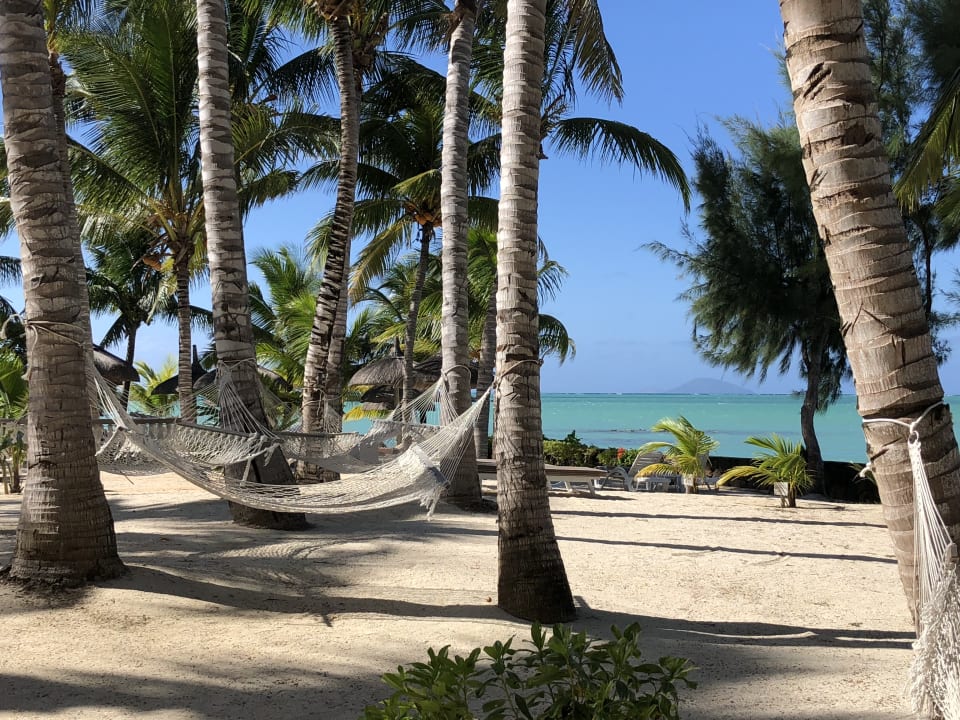 Ausblick Lagoon Attitude - Adults only