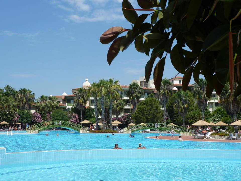 Poolanlage mit Hotel Hotel Defne Star