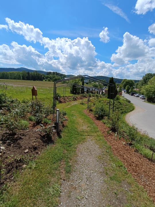 Gartenanlage Spirit & SPA Hotel Birkenhof am Elfenhain
