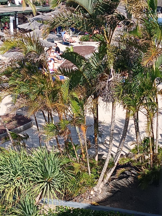 Gartenanlage allsun App.-Hotel Esquinzo Beach