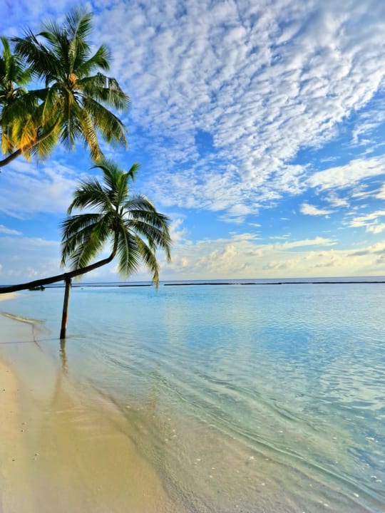 Strand Sun Siyam Vilu Reef