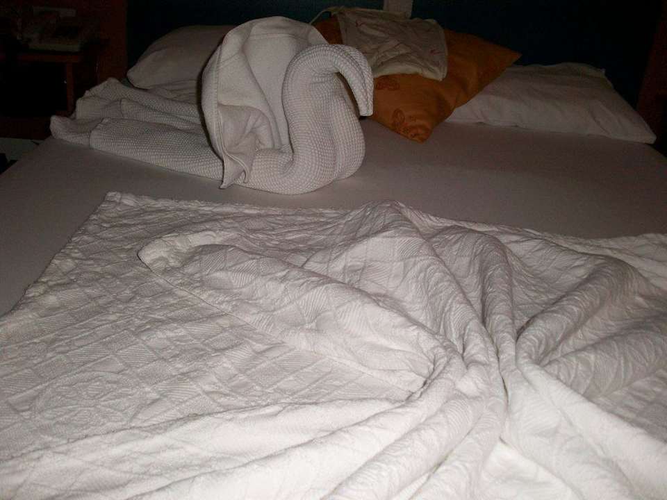 Hotel Kleopatra Beste Hotel Aslan City Kleopatra