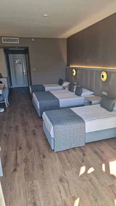 Zimmer Dream Water World