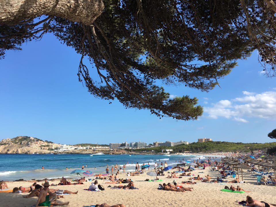 Strand Protur Turo Pins Hotel