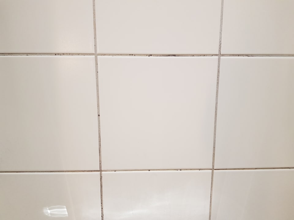 Zimmer BEECH Resort Boltenhagen