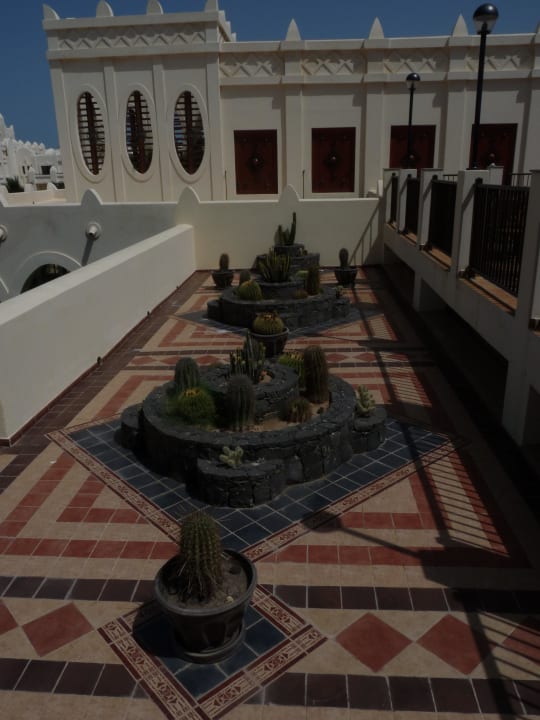 Schöner Blick auf Kakteen Hotel Riu Karamboa