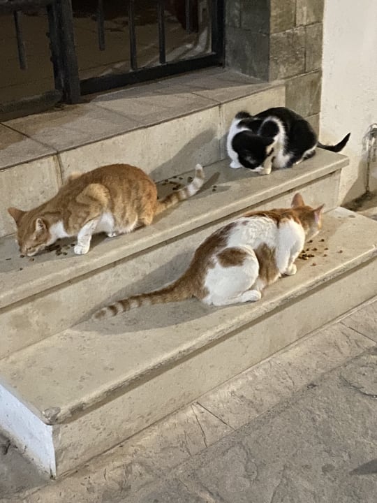 Sonstiges Harmony Boutique Resort