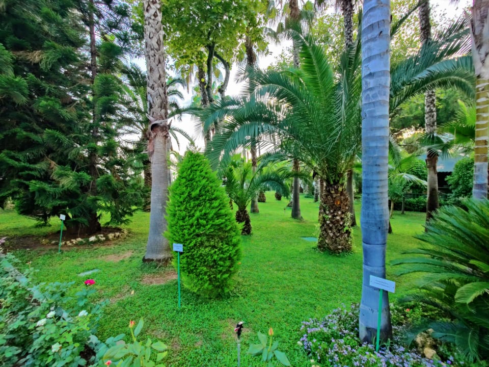 Gartenanlage Botanik Hotel & Resort