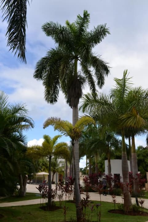 Wewnątrz hotelu Royalton White Sands