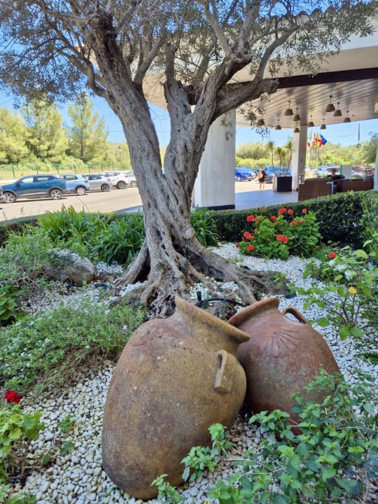 Außenansicht Valentin Son Bou