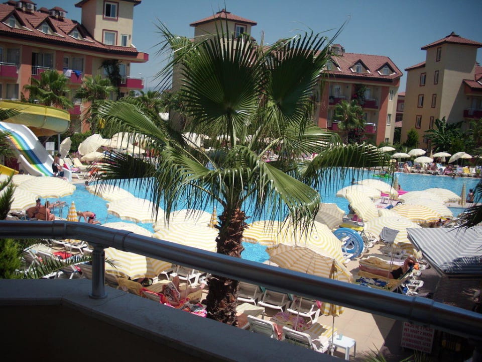 Der Pool von unserem Zimmer aus Hotel Orfeus Park