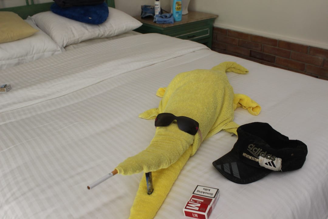 Krokodil auf dem Bett Giftun Azur Resort