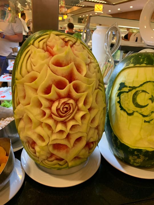 Gastro Paloma Oceana