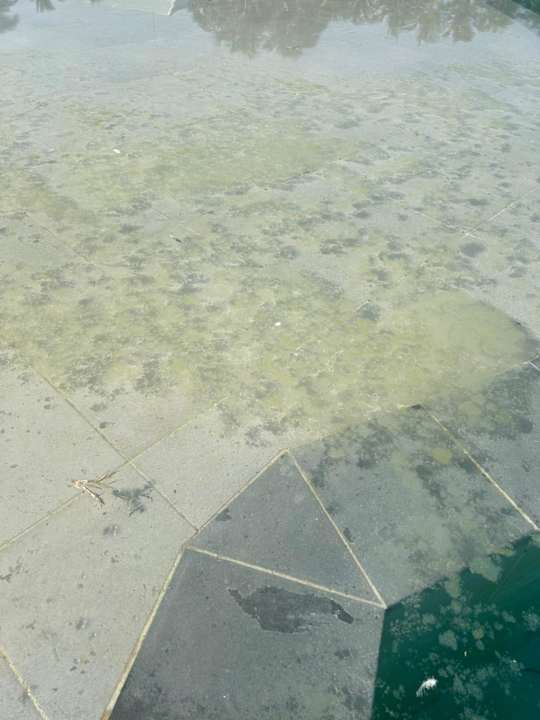 Pool Paradisus Varadero Resort & Spa