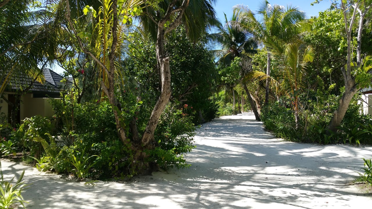 Inselinnere  Summer Island Maldives