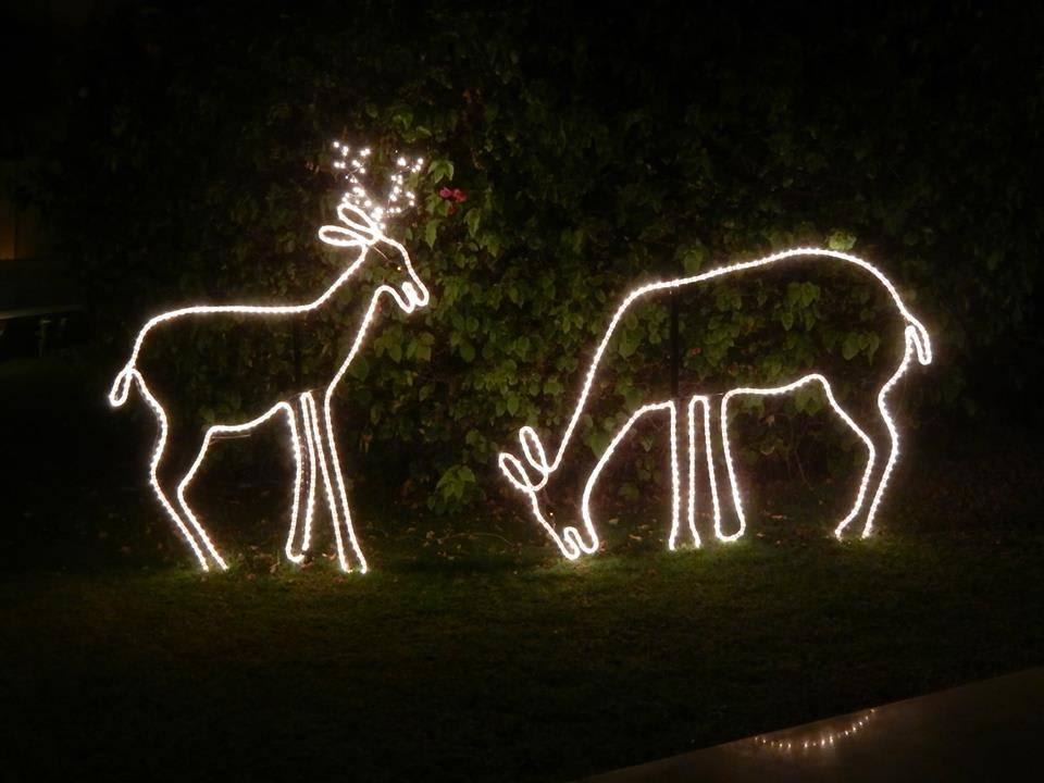 X-Mas Coraya Steigenberger Coraya Beach - Adults only