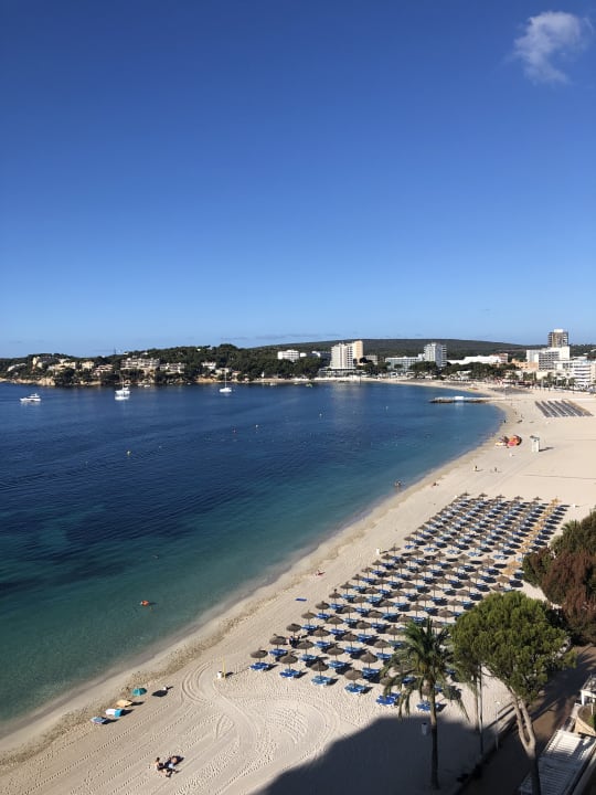 Ausblick Flamboyan Caribe Hotel & Spa