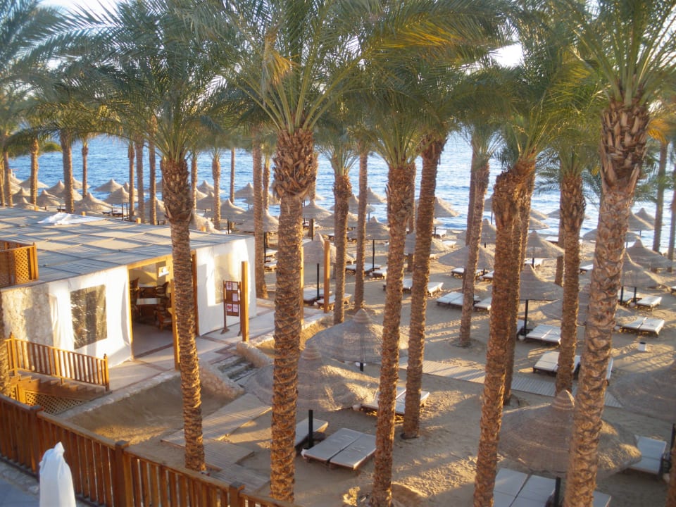 Blick auf den sehr sauberen Strandbereich The Grand Hotel Sharm El Sheikh