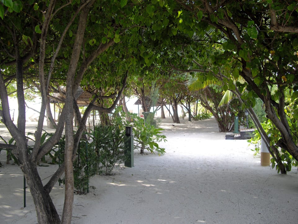Weg im Inselinneren Summer Island Maldives