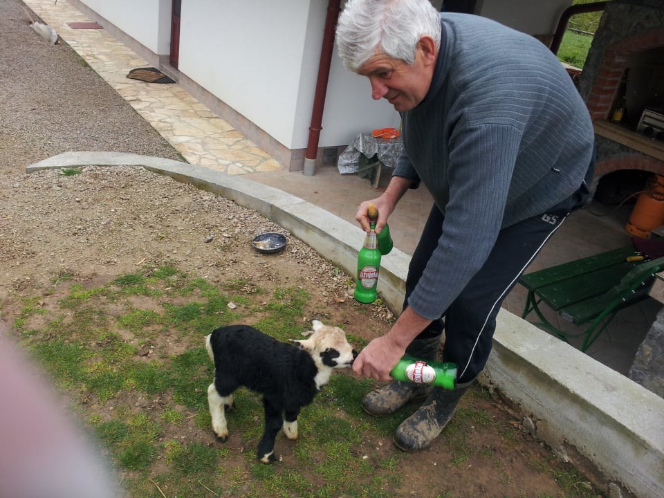 Karmienie Pension Breza