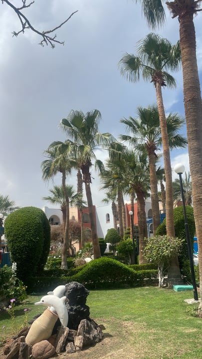 Gartenanlage Arabia Azur Resort