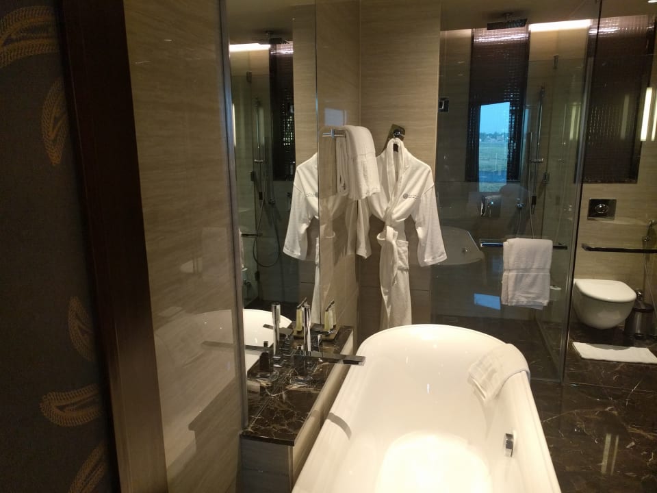 Zimmer Pullman New Delhi Aerocity