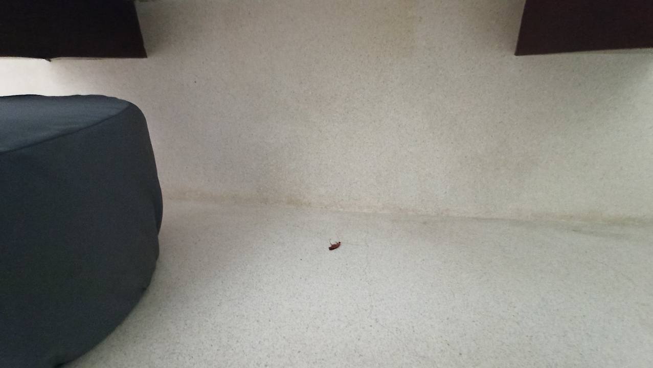 Zimmer TUI BLUE Mai Khao Lak