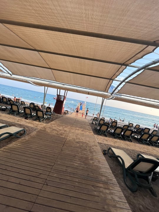 Strand Crystal Family Comfort Collection