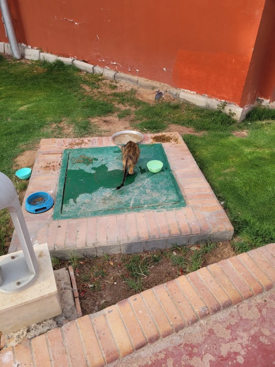 Gartenanlage Pickalbatros Alf Leila Wa Leila Resort - Neverland Hurghada