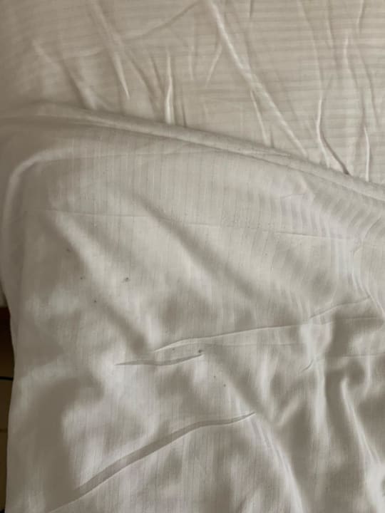 Zimmer Serenity Alma Heights