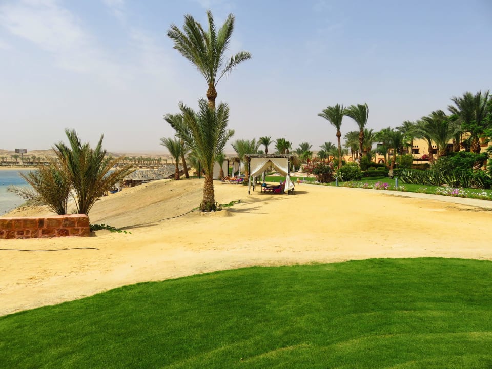 Da passt einfach alles Steigenberger Coraya Beach - Adults only