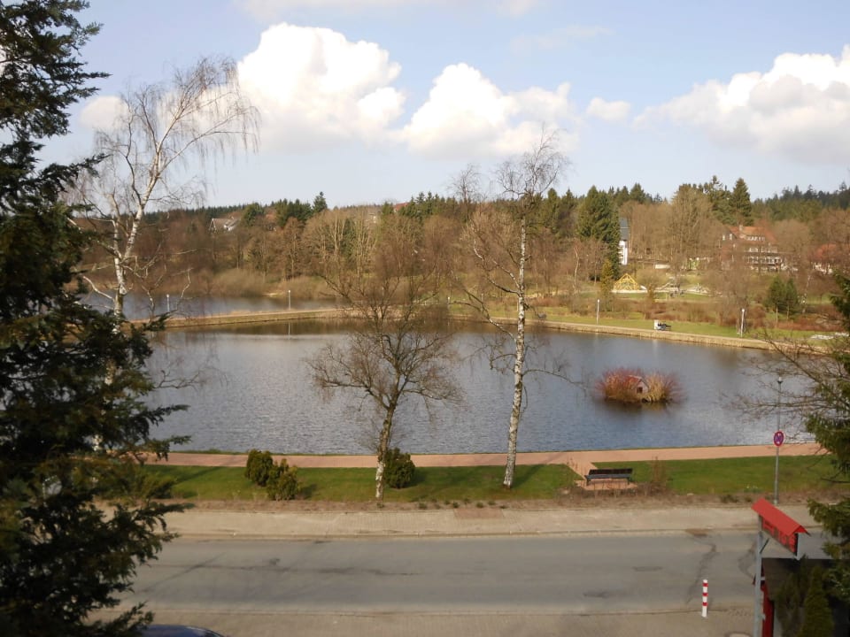 Ausblick zum See Hotel Garni Blackcoms Erika