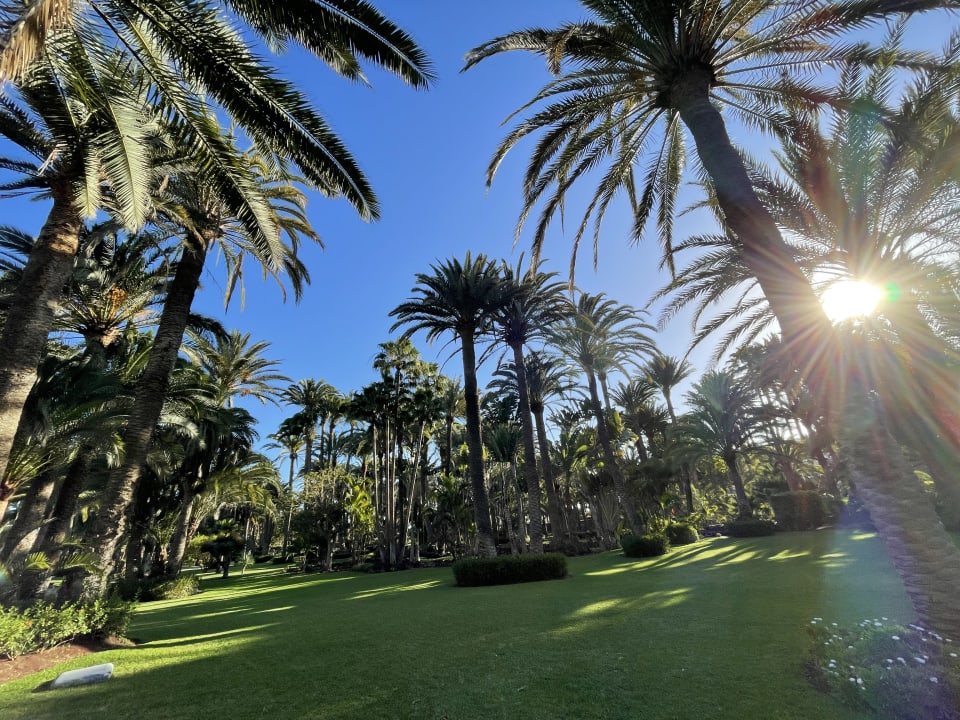 Gartenanlage Hotel Riu Palace Oasis