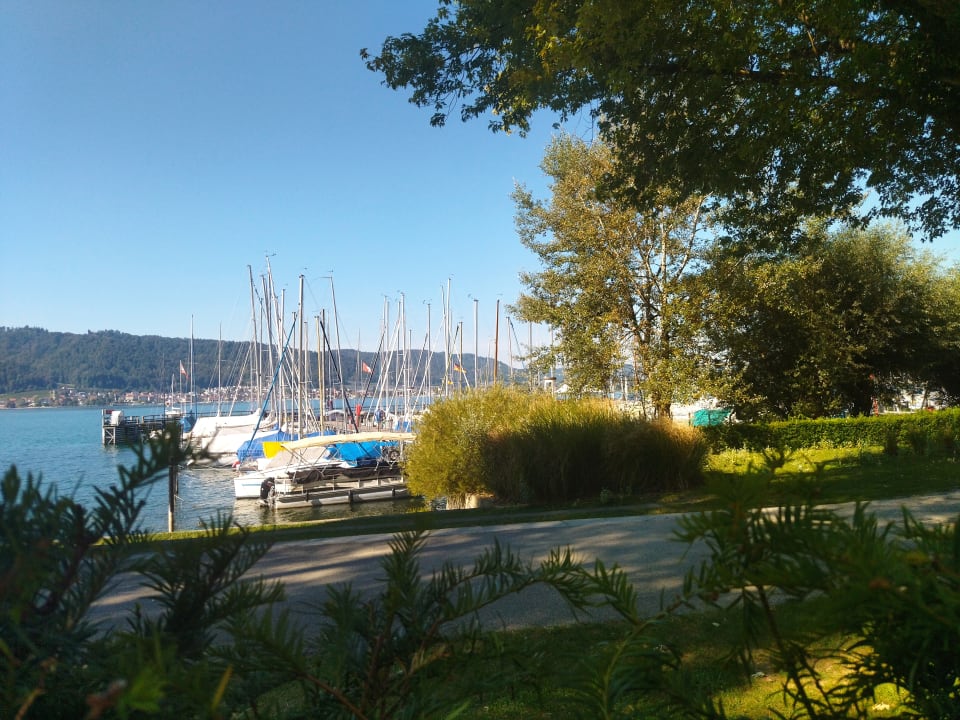 Ausblick Seehotel Adler