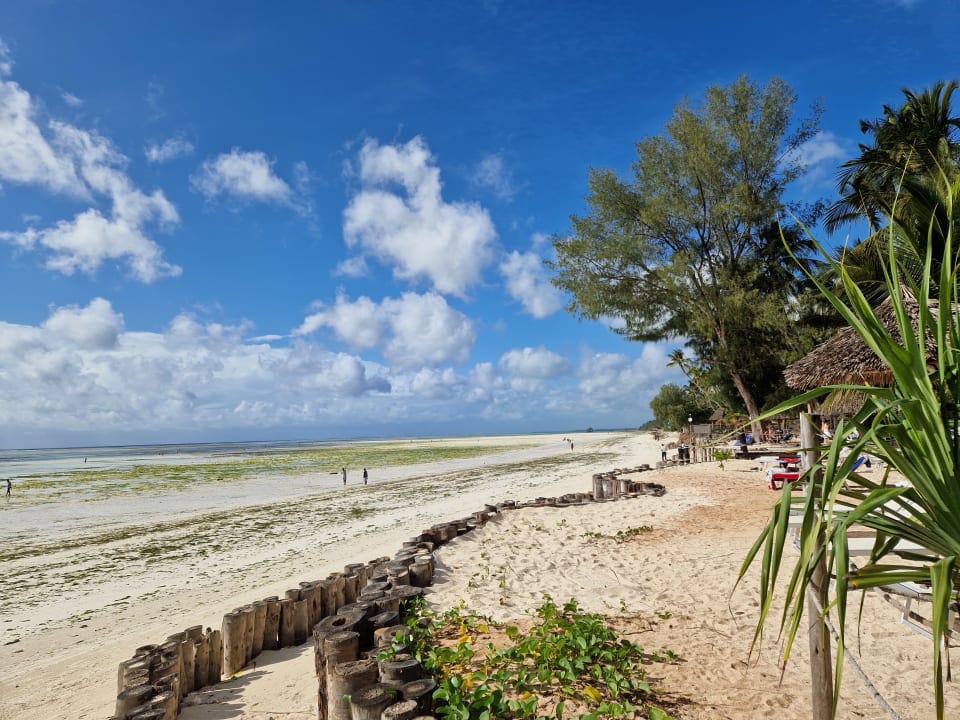 Strand TUI Blue Bahari Zanzibar