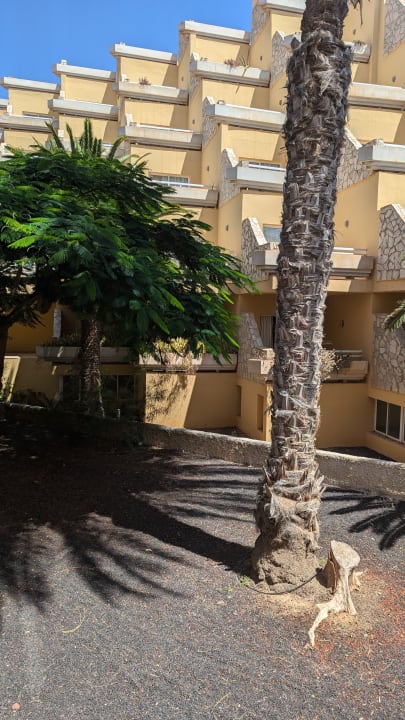 Ausblick SBH Costa Calma Beach Resort