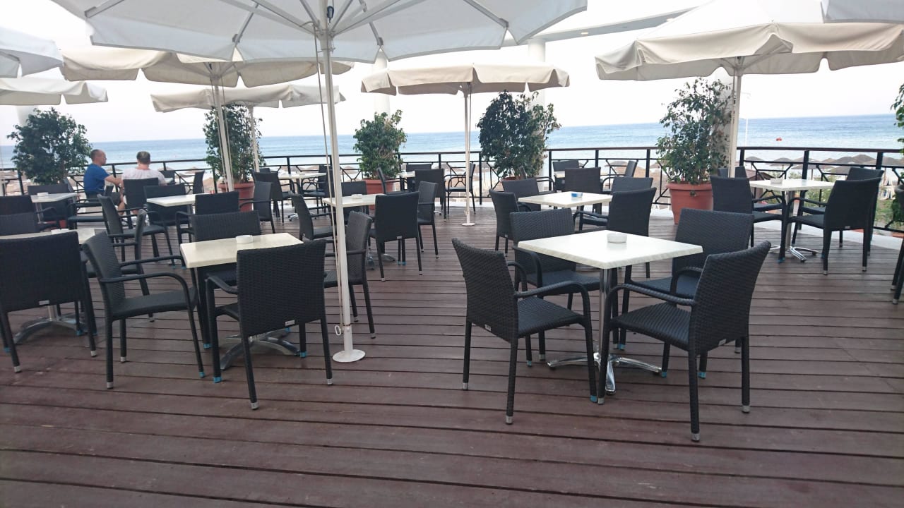 Poolbar  Hotel Calypso Beach