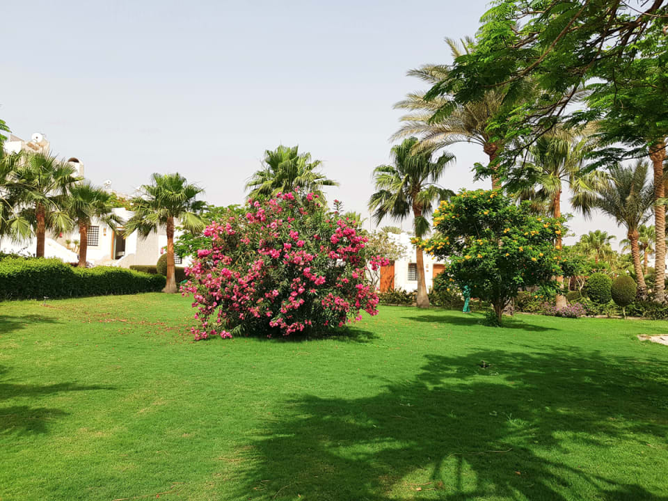 Gartenanlage Sharm Club Beach Resort
