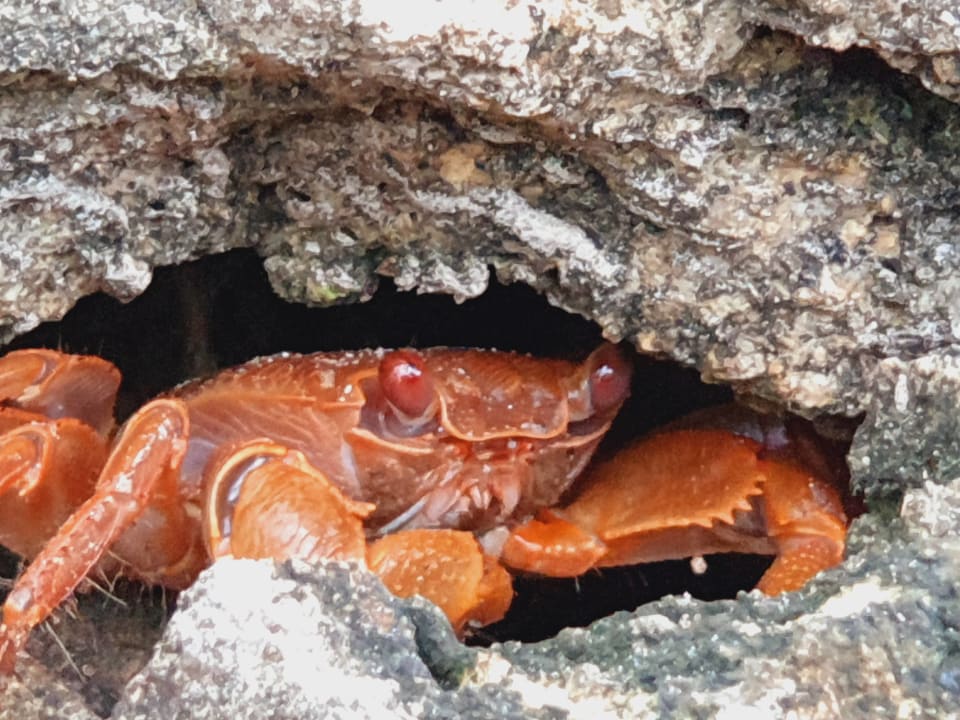 Strand Bahari Beach Hotel