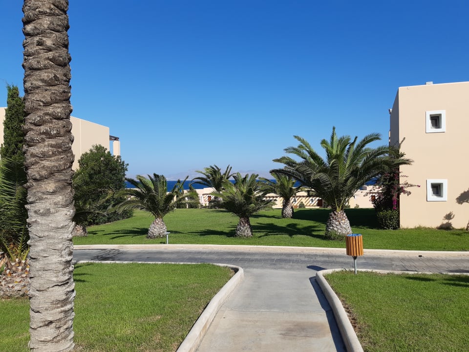 Gartenanlage Hotel Horizon Beach Resort