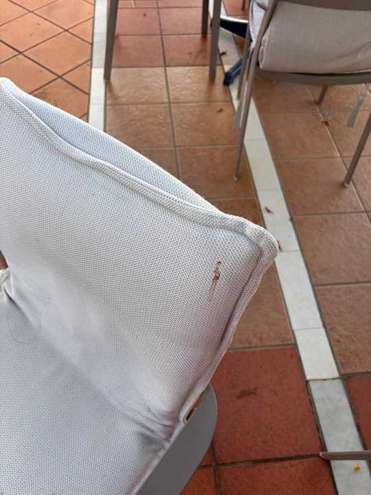 Gastro Hotel Paloma Garden